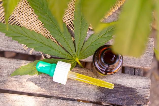 Cbd olej co to jest i jakie ma zastosowanie?