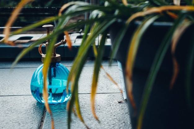 Czym wyróżnia się zapach Lacoste Cool Deep Water?