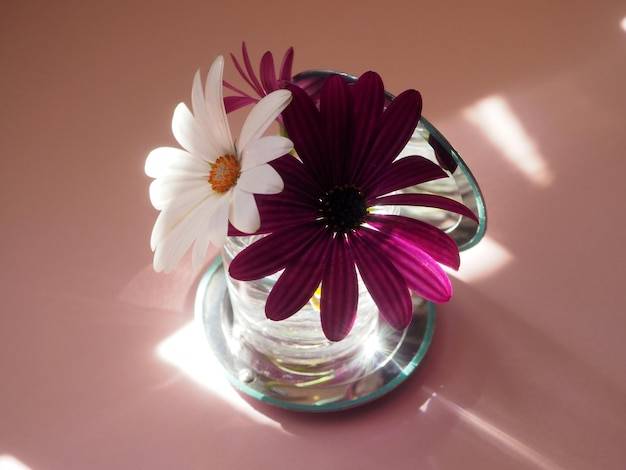 Czym wyróżnia się zapach perfum Rihanny Fleur?