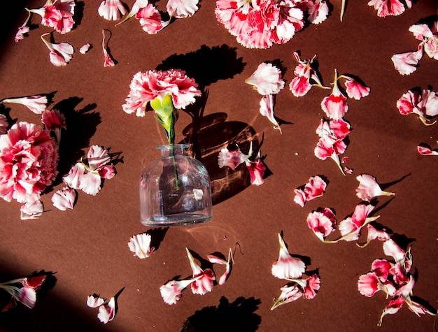 Czym wyróżnia się zapach w stylu dolce vita dior?