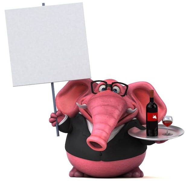 Drunk Elephant gdzie kupić oryginalne kosmetyki tej marki?