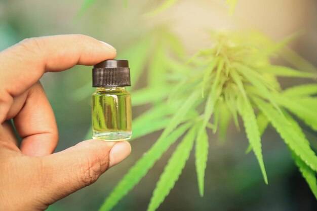 Olejek z konopi na co pomaga i kiedy warto go stosować?